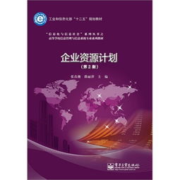 企業(yè)資源計劃系統(tǒng)與信息系統(tǒng)運行維護(hù)服務(wù)